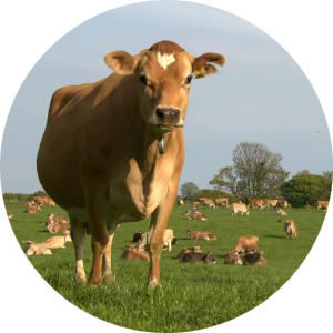 J9���Ρ����й���������Ϸ��һƷ��